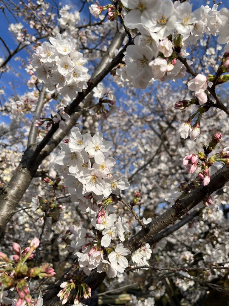 みどりが丘保谷幼稚園の外観